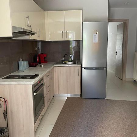 Errica Apartment Preveza Buitenkant foto